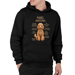 Pudel - anatomia - męska bluza na prezent