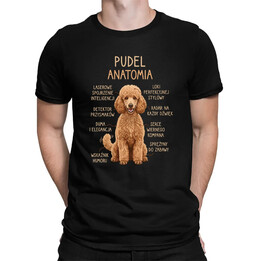 Pudel - anatomia - męska koszulka na prezent