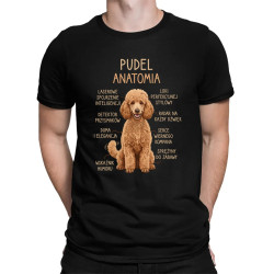 Pudel - anatomia - męska koszulka na prezent