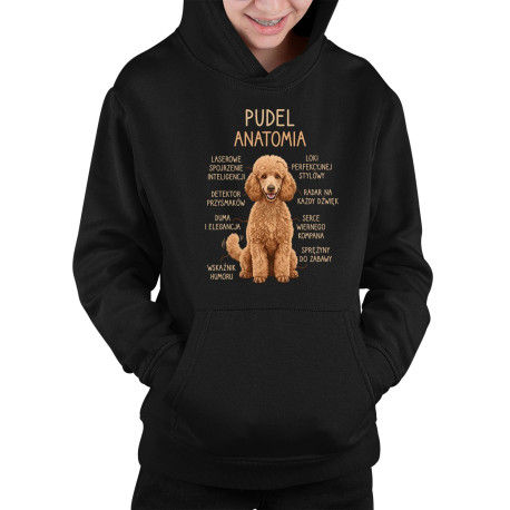 Pudel - anatomia - dziecięca bluza na prezent