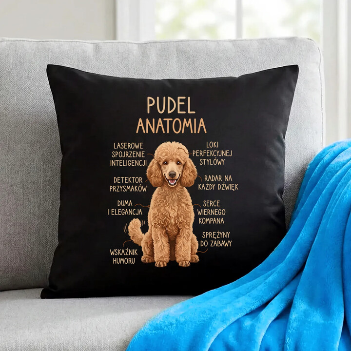Pudel - anatomia - czarna poduszka na prezent