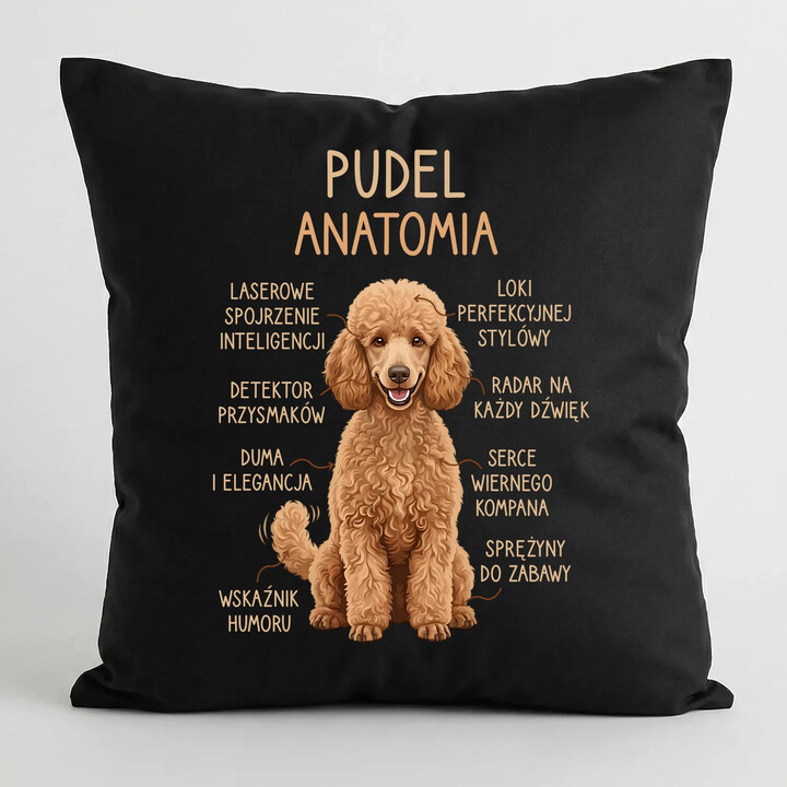 Pudel - anatomia - czarna poduszka na prezent