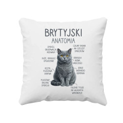 Brytyjski - anatomia - poduszka na prezent