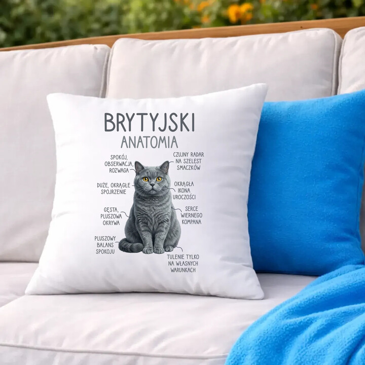 Brytyjski - anatomia - poduszka na prezent