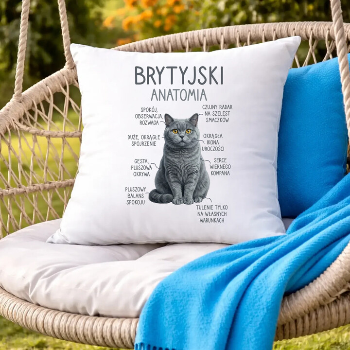 Brytyjski - anatomia - poduszka na prezent