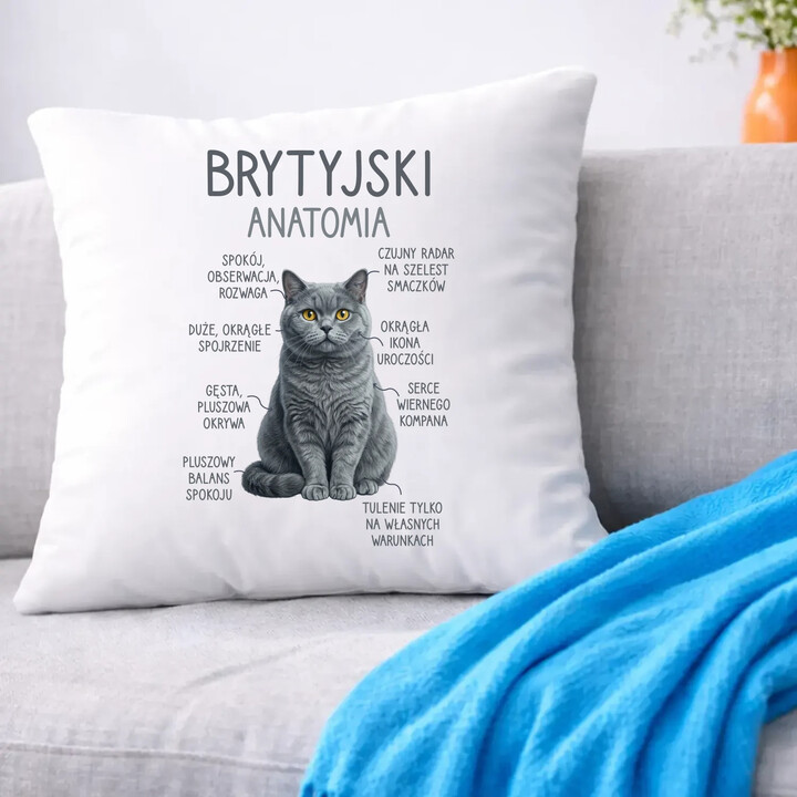 Brytyjski - anatomia - poduszka na prezent