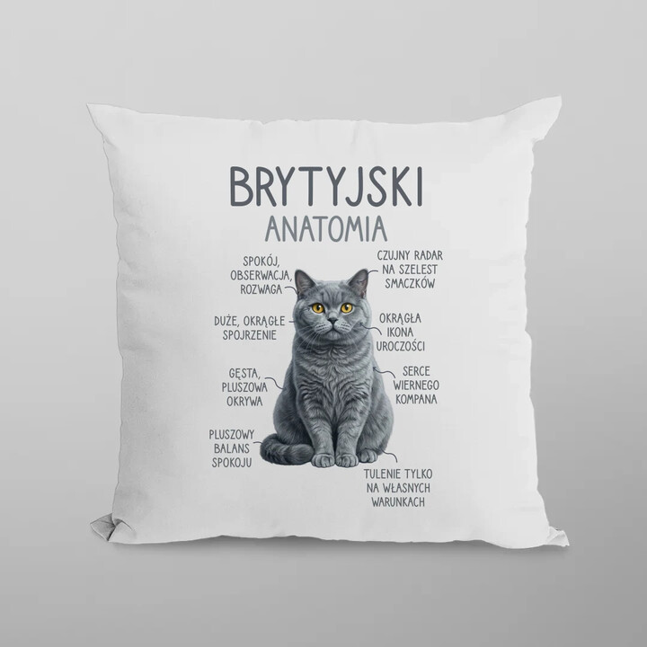 Brytyjski - anatomia - poduszka na prezent
