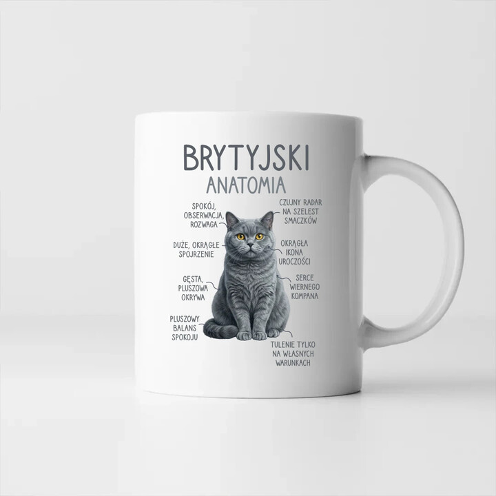 Brytyjski - anatomia - kubek na prezent