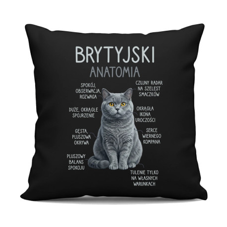 Brytyjski - anatomia - czarna poduszka na prezent