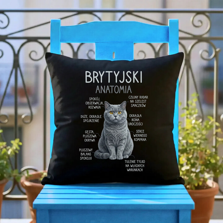 Brytyjski - anatomia - czarna poduszka na prezent