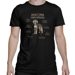Anatomia charta perskiego - męska koszulka na prezent dla właściciela charta