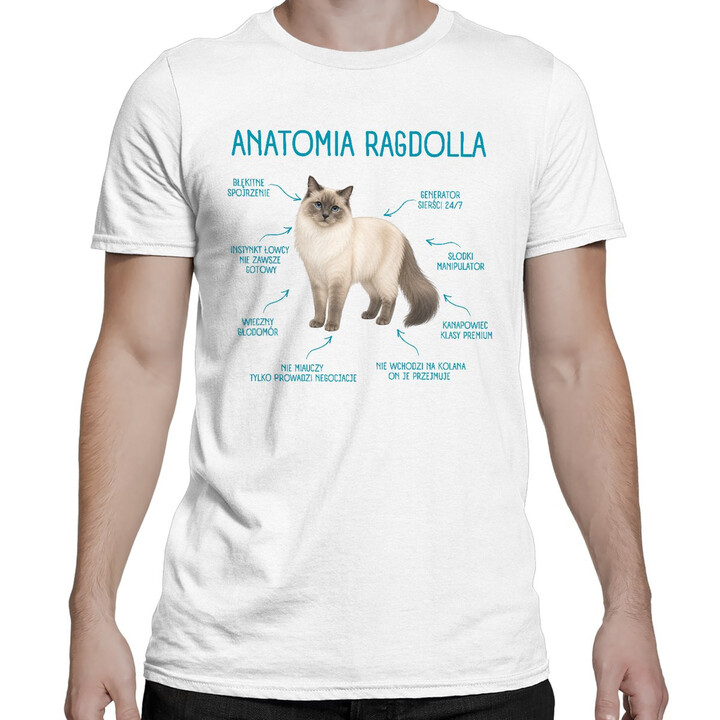 Anatomia Ragdolla - męska koszulka na prezent dla miłośnika kota