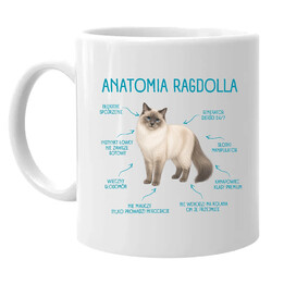 Anatomia Ragdolla - kubek na prezent dla miłośnika kota