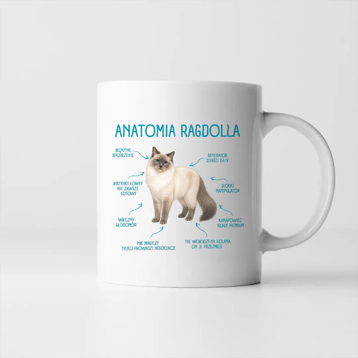 Anatomia Ragdolla - kubek na prezent dla miłośnika kota