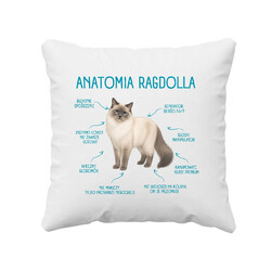 Anatomia Ragdolla - poduszka na prezent dla miłośnika kota