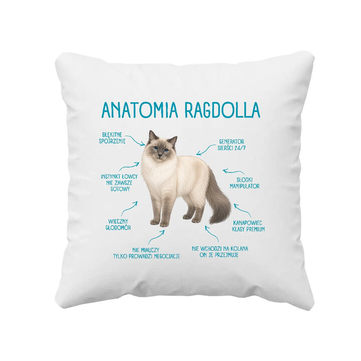 Anatomia Ragdolla - poduszka na prezent dla miłośnika kota