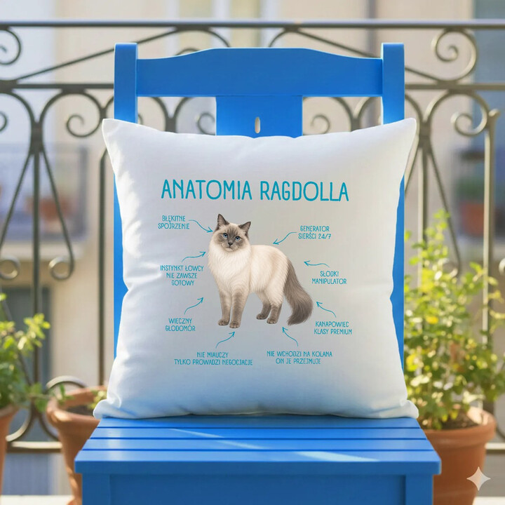 Anatomia Ragdolla - poduszka na prezent dla miłośnika kota