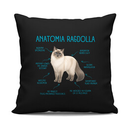 Anatomia Ragdolla - czarna poduszka na prezent dla miłośnika kota