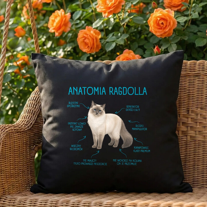 Anatomia Ragdolla - czarna poduszka na prezent dla miłośnika kota