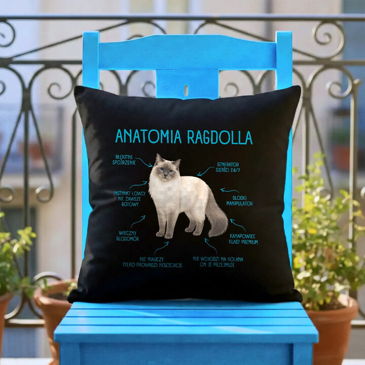 Anatomia Ragdolla - czarna poduszka na prezent dla miłośnika kota
