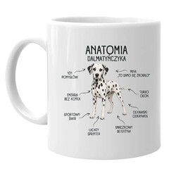 Anatomia Dalmatyńczyka - kubek na prezent dla miłośnika psa