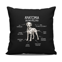 Anatomia Dalmatyńczyka - czarna poduszka na prezent dla miłośnika psa