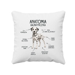 Anatomia Dalmatyńczyka - poduszka na prezent dla miłośnika psa