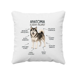 Anatomia Alaskan Malamut - poduszka na prezent dla miłośnika psa