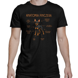 Anatomia Pinczera - męska koszulka na prezent dla miłośnika psa