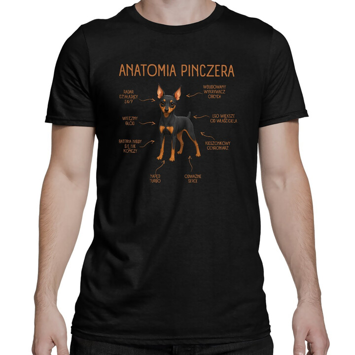 Anatomia Pinczera - męska koszulka na prezent dla miłośnika psa