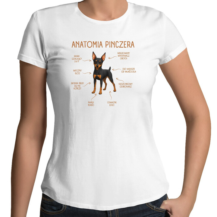 Anatomia Pinczera - damska koszulka na prezent dla miłośniczki psa