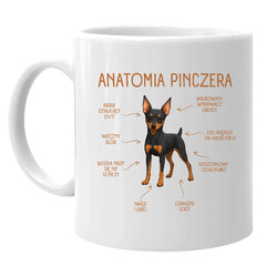 Anatomia Pinczera - kubek na prezent dla miłośnika psa
