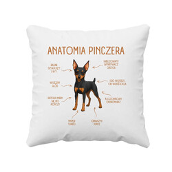 Anatomia Pinczera - poduszka na prezent dla miłośnika psa