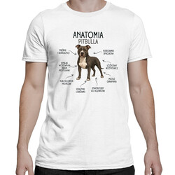 Anatomia Pitbulla - męska koszulka na prezent dla miłośnika psa