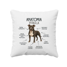 Anatomia Pitbulla - poduszka na prezent dla miłośnika psa