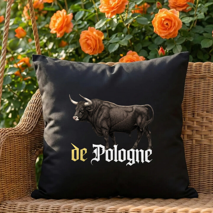 De Pologne - czarna poduszka na prezent dla fanów serialu 1670