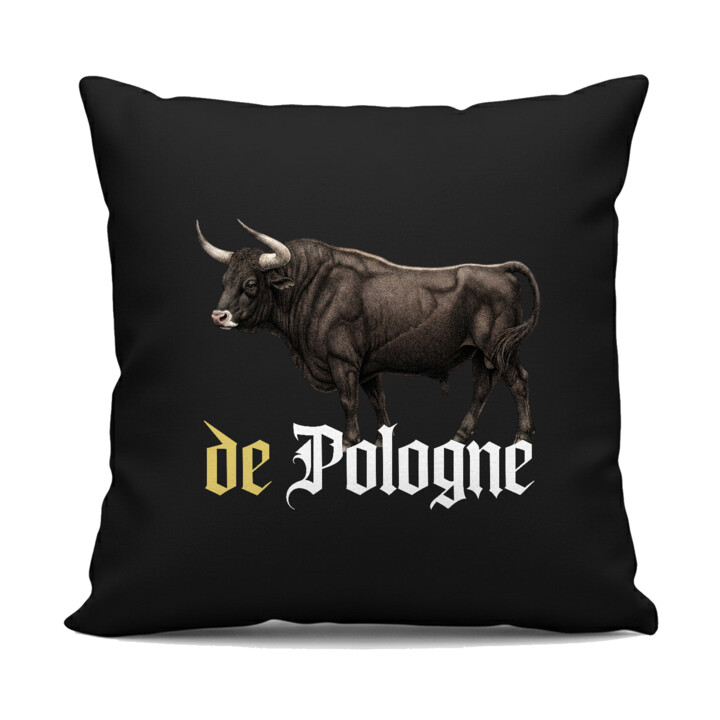 De Pologne - czarna poduszka na prezent dla fanów serialu 1670