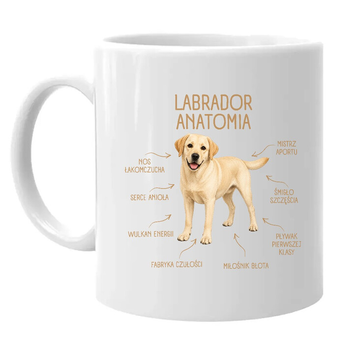 Anatomia Labradora - kubek na prezent dla miłośnika psa