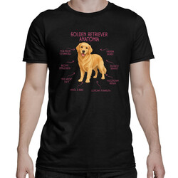 Anatomia Golden Retrievera - męska koszulka na prezent dla miłośnika psa