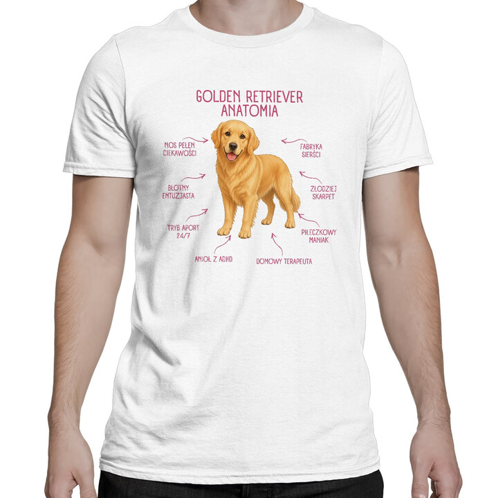 Anatomia Golden Retrievera - męska koszulka na prezent dla miłośnika psa