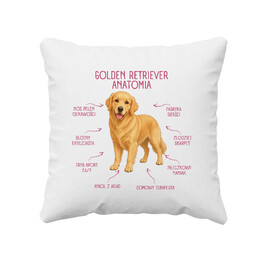 Anatomia Golden Retrievera - poduszka na prezent dla miłośnika psa