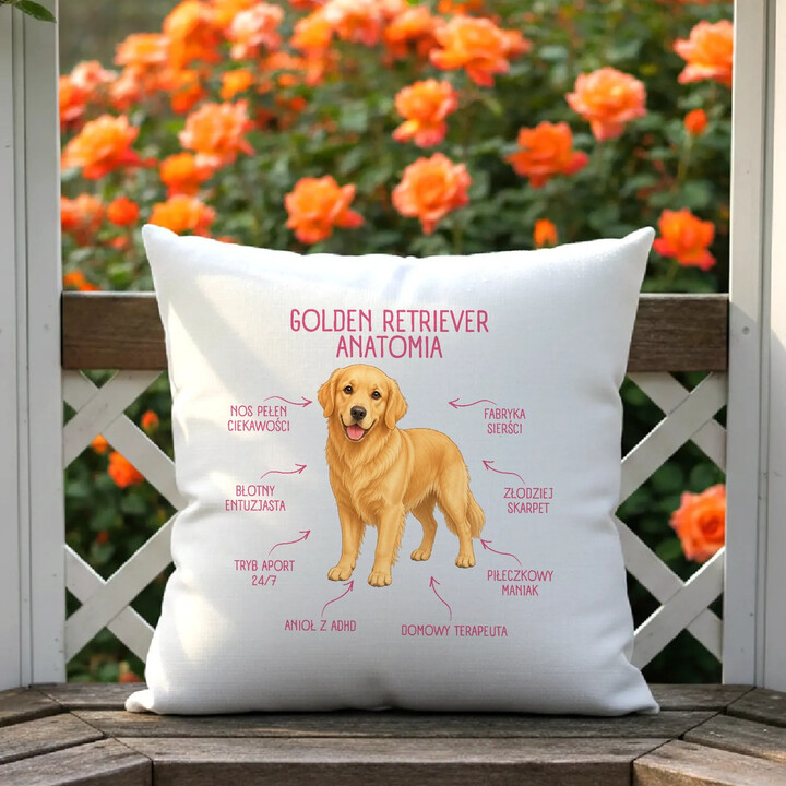 Anatomia Golden Retrievera - poduszka na prezent dla miłośnika psa