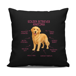 Anatomia Golden Retrievera - czarna poduszka na prezent dla miłośnika psa