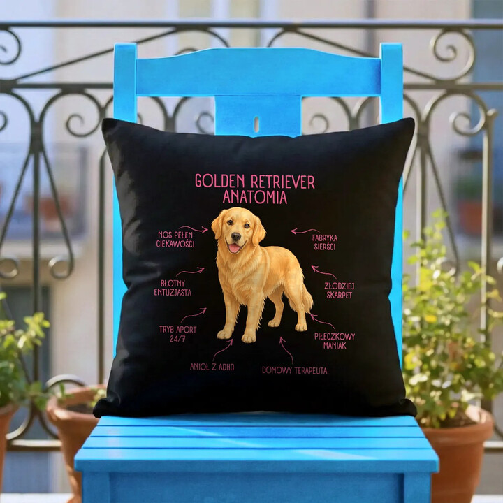 Anatomia Golden Retrievera - czarna poduszka na prezent dla miłośnika psa