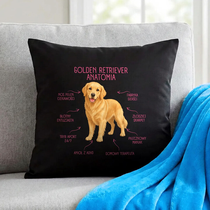 Anatomia Golden Retrievera - czarna poduszka na prezent dla miłośnika psa