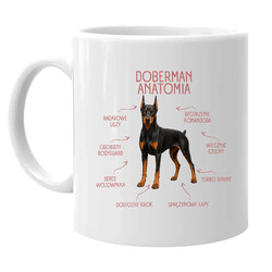 Anatomia Dobermana - kubek na prezent dla miłośnika psa