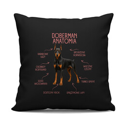Anatomia Dobermana - czarna poduszka na prezent dla miłośnika psa