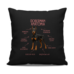 Anatomia Dobermana - czarna poduszka na prezent dla miłośnika psa
