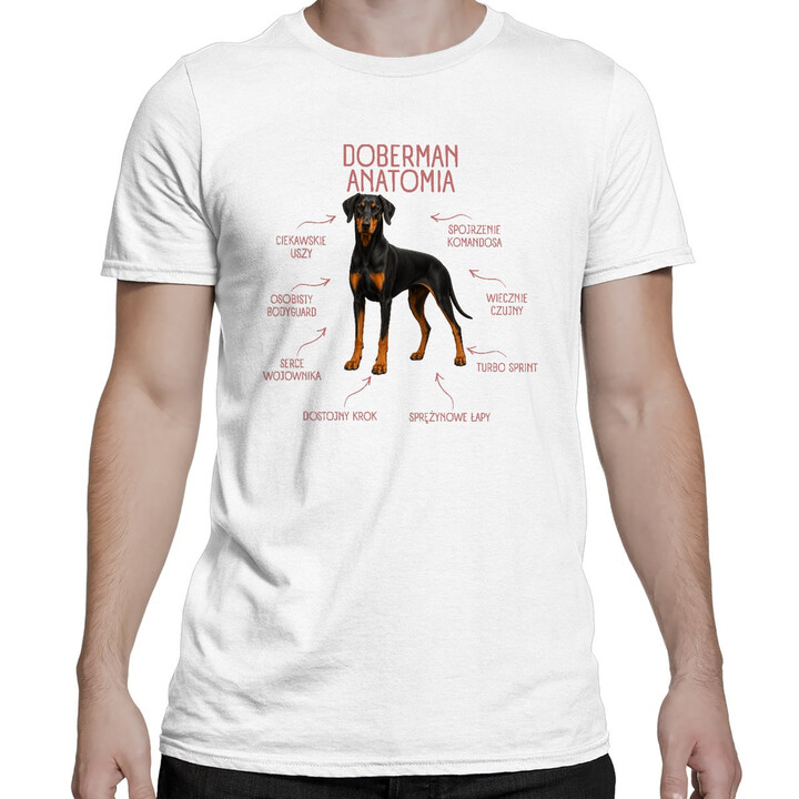 Anatomia Dobermana v2 - męska koszulka na prezent dla miłośnika psa