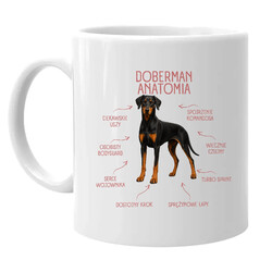 Anatomia Dobermana v2 - kubek na prezent dla miłośnika psa